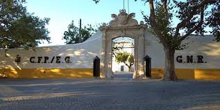 Percevejos continuam em Portalegre